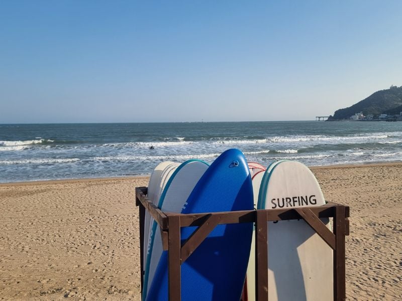 Surf in Busan