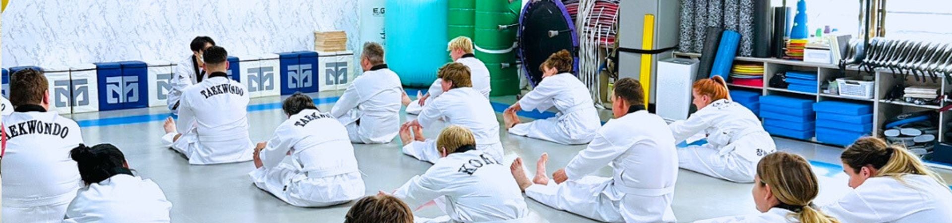 Image of Taekwondo in Seoul