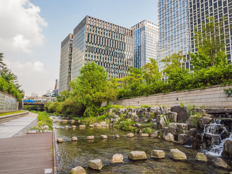 Urban Seoul by Pedicab