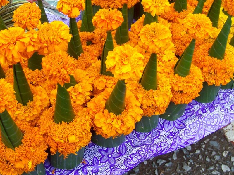 Alms & Pak Ou Differently