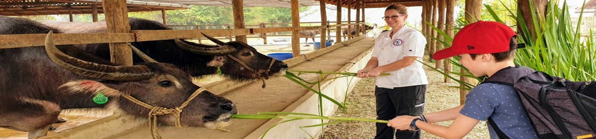 Image of Buffalo Mozzarella Cooking Class