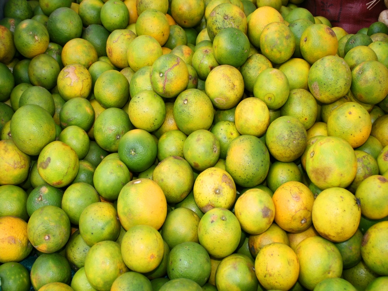 Culinary Delights of Vientiane