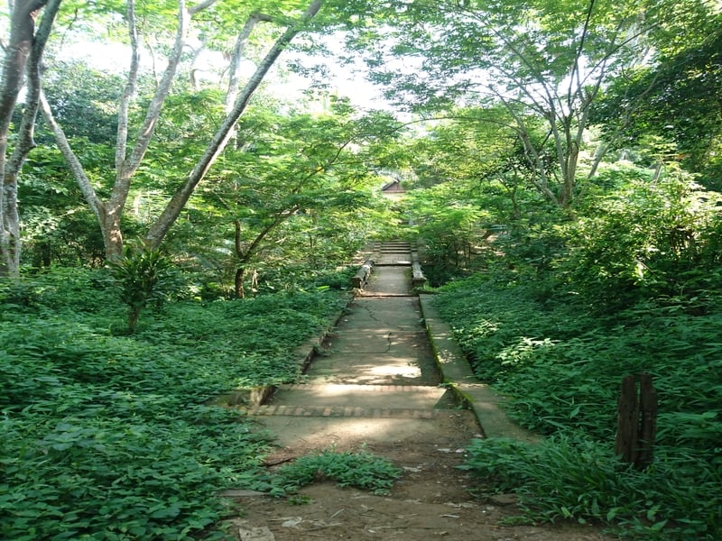 Exploring the Mekongs Hidden Side