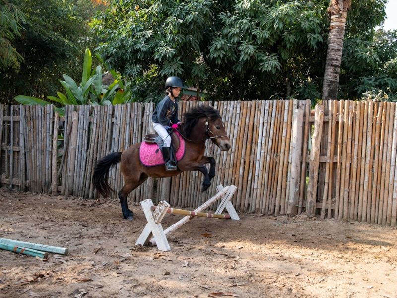 Horseback Adventure for Young Riders