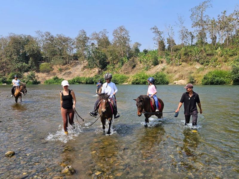 Horseback Adventure for Young Riders