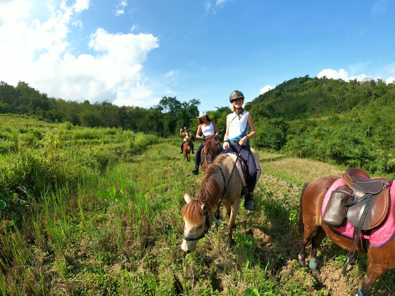 Horseback Adventure for Young Riders