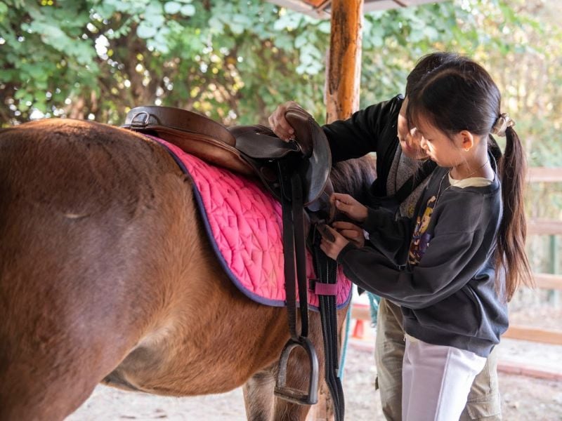 Horseback Adventure for Young Riders
