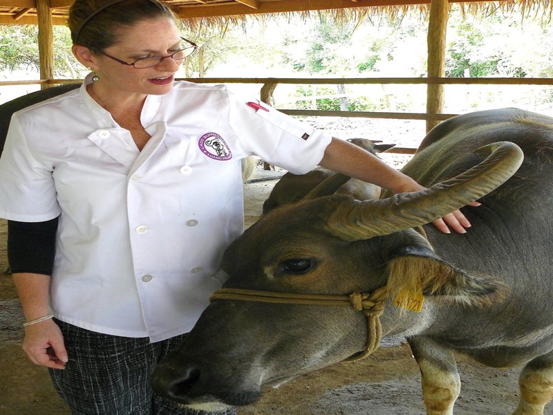 Laos Buffalo Dairy Tour (1 Hour Private Tour)