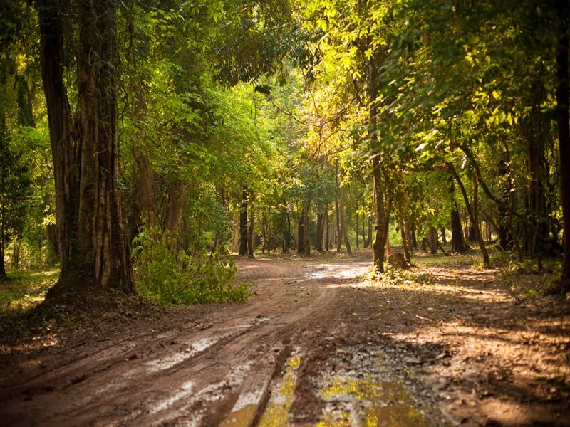 Trek to Kuang Si Waterfalls
