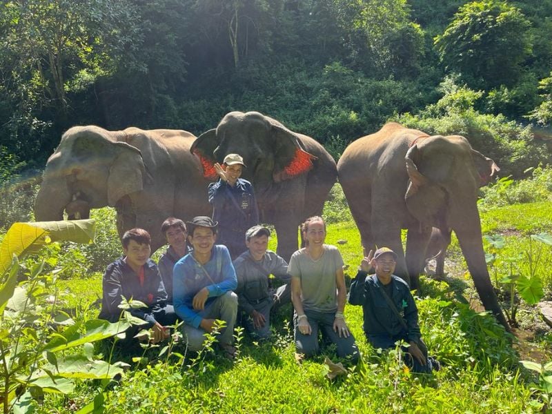 Mekong Elephant Wonders