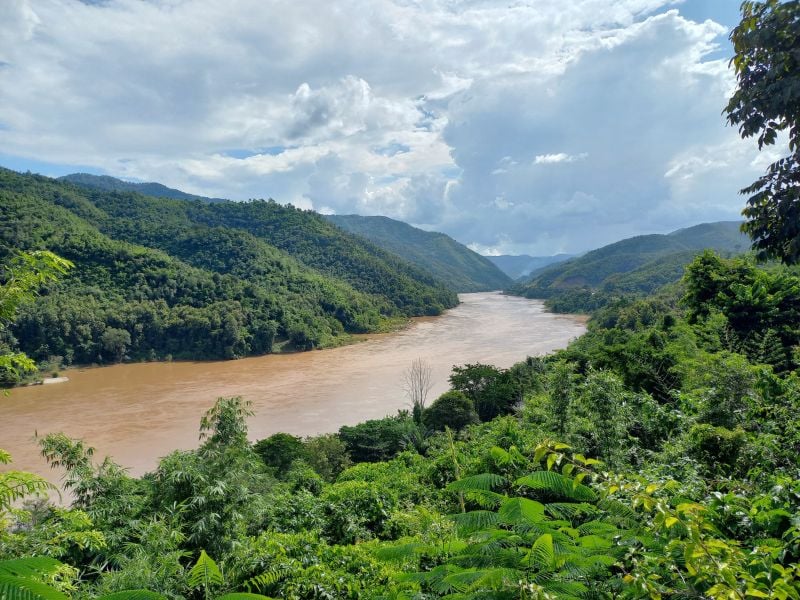 Mekong Elephant Wonders
