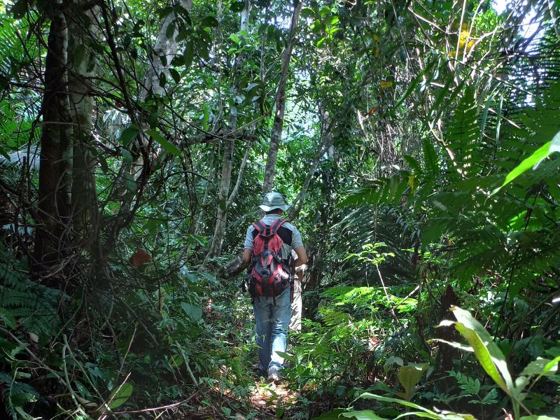 Nam Ha Trekking Experience