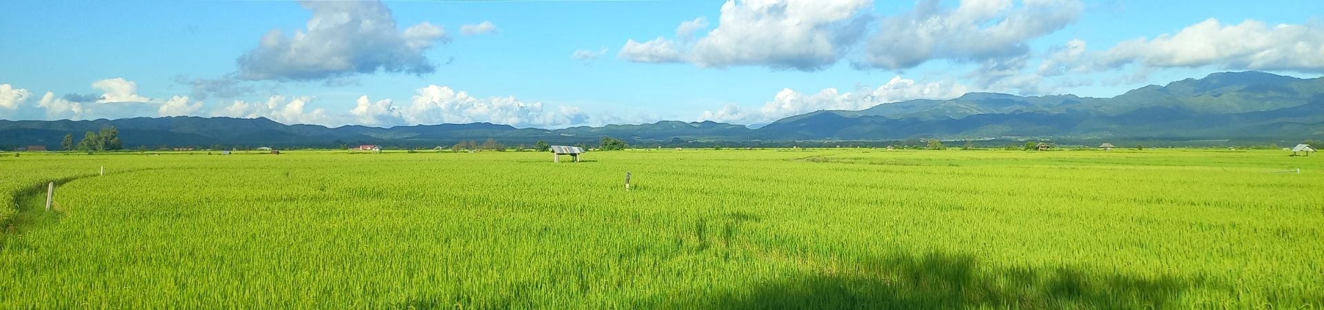 Image of Nam Ha Trekking Experience