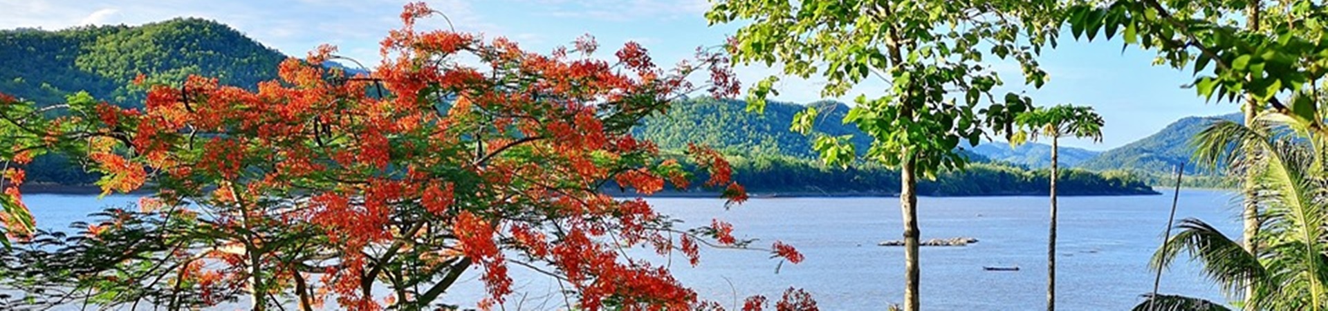 Image of Private Lunch at Francis’ Home