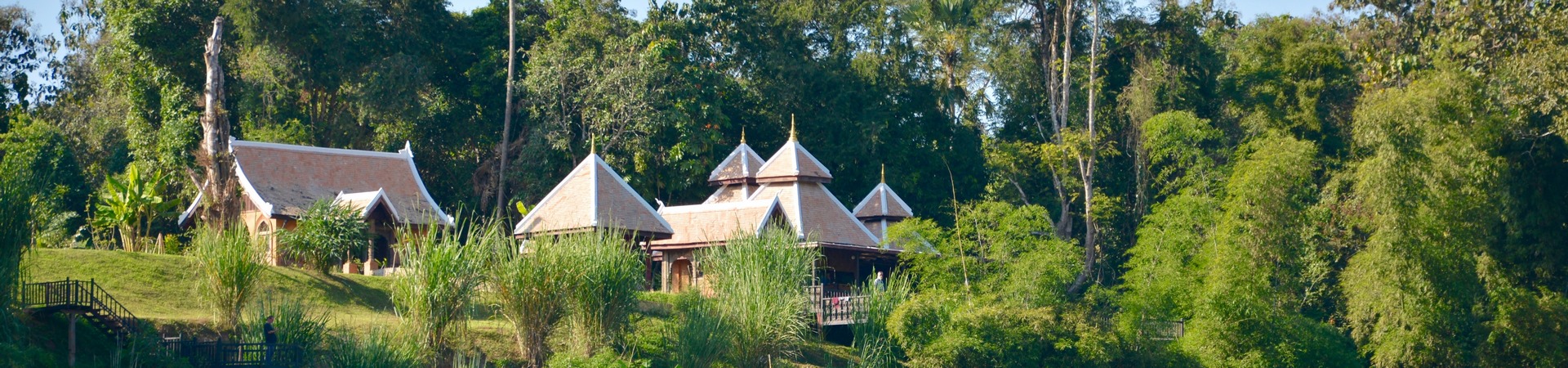 Image of Therapeutic Trek with Elephants