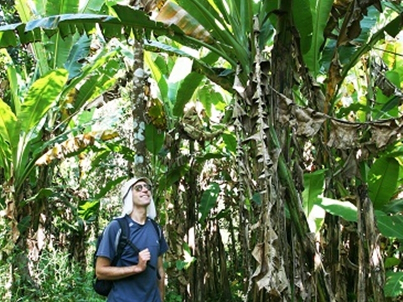 Trek & Hilltribe Discovery