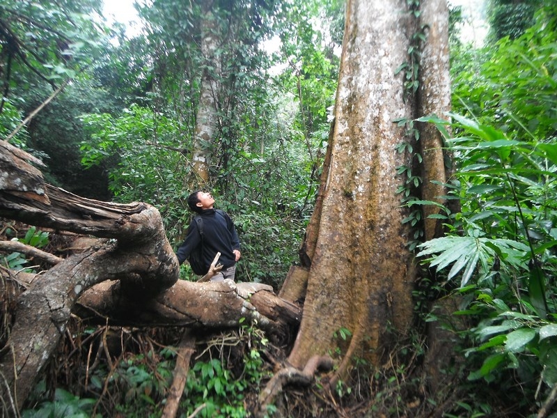 Trek & Hilltribe Discovery