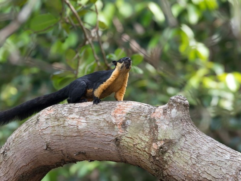 A Day in the National Park