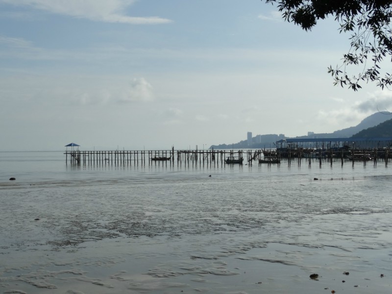 A Day in the National Park