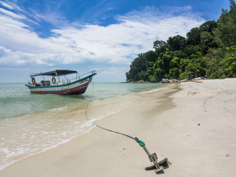 A Day in the National Park