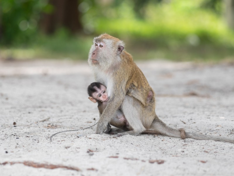 A Day in the National Park
