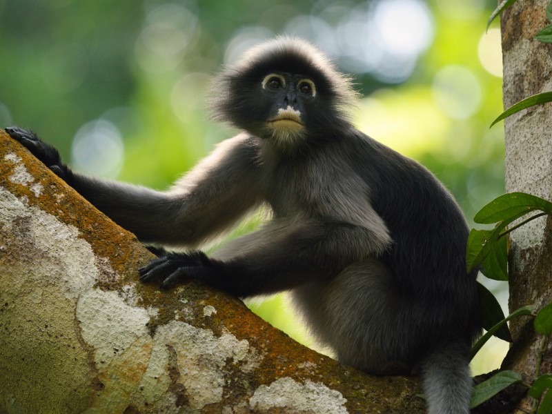 A Day in the National Park