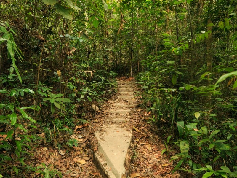 A Day in the National Park