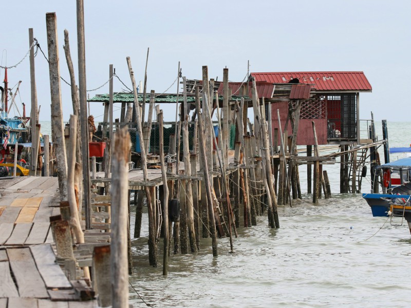 A Day in the National Park