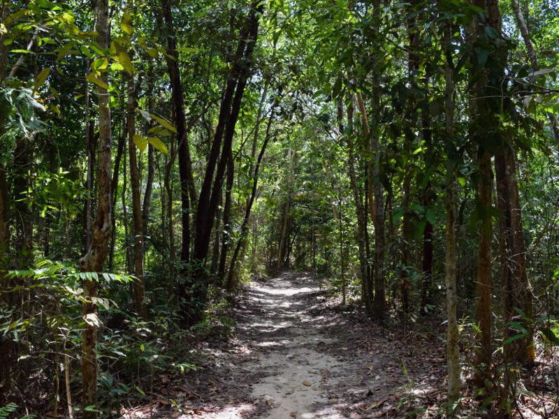 A Day in the National Park