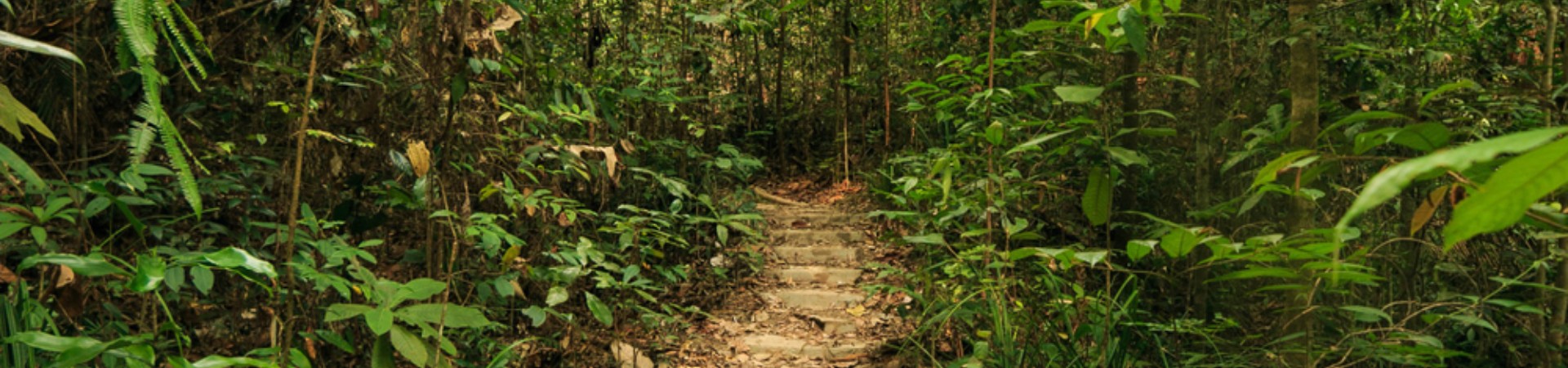 Image of A Day in the National Park