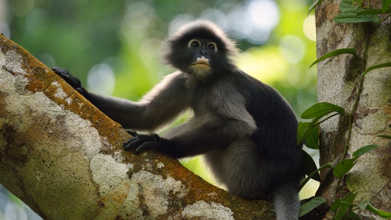 A Full Day of Family Fun in Penang