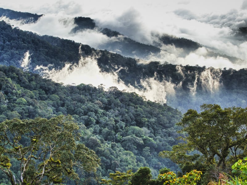Aerial Tour of Maliau Basin