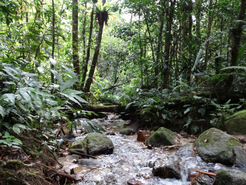 Cameron Highland Explorer (ex Cameron)