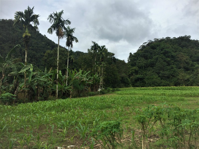 Countryside, Goldmine & Cave Bike Discovery