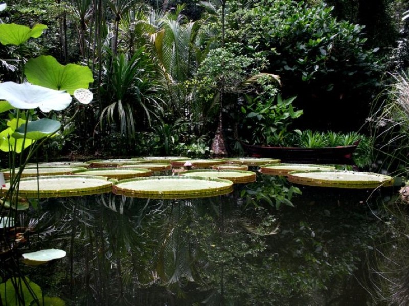 Cuisine, Art and Gardens