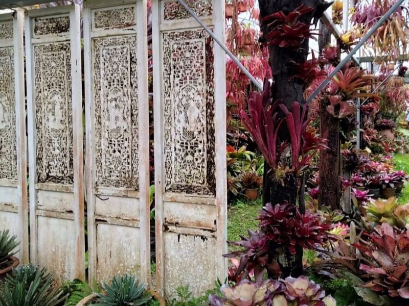 Cuisine, Art and Gardens