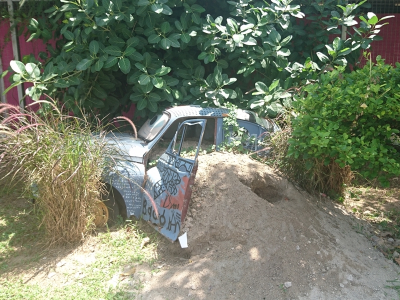 Dim Sum & Street Art