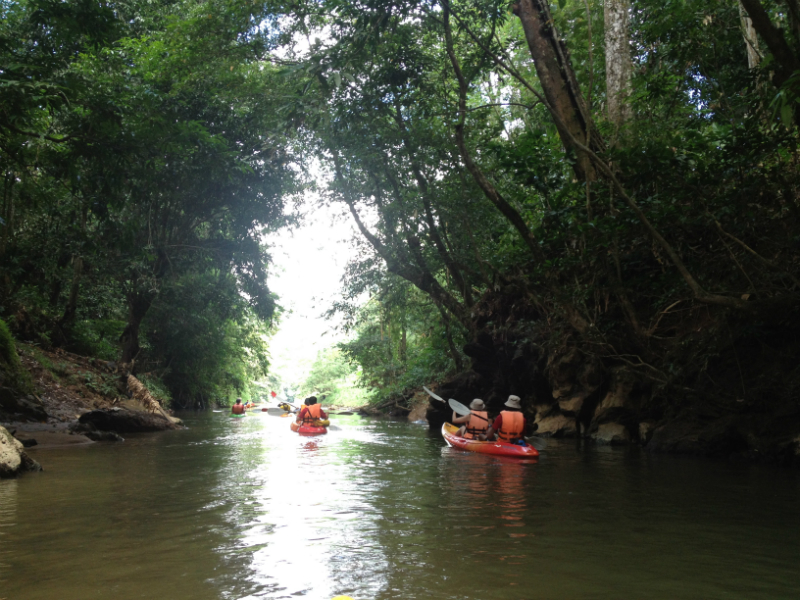 Family Rainforest Kayak and Orang Utans