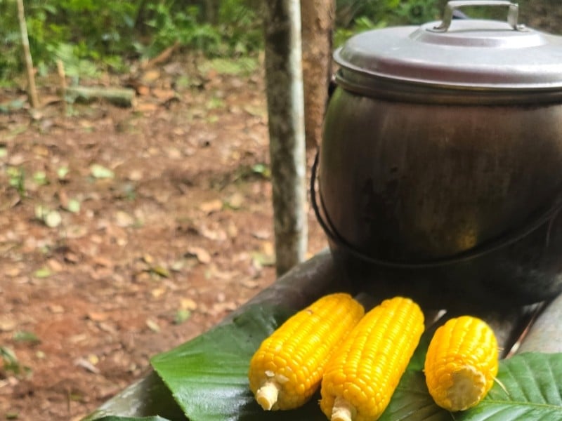 Flavours of Borneo Cooking Experience (Join-in)