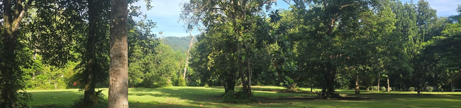 Image of Flavours of Borneo Cooking Experience (Join-in)