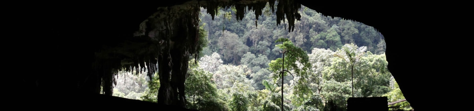 Image of Hidden Beauty Of Niah Caves