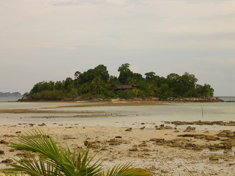 Irrawaddy Dolphins & Turtles of Sarawak