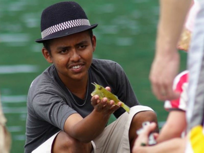 Langkawi Mangrove Forest Boat Trip (Join in Tour)