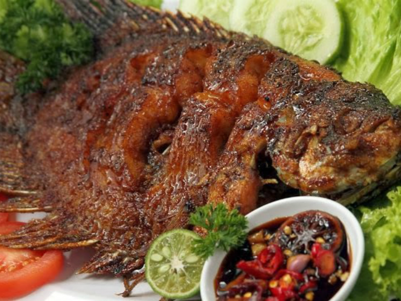 Langkawi Mangrove Forest Boat Trip (Join in Tour)