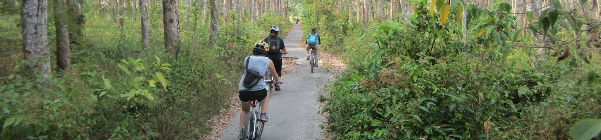 Image of Langkawi Nature Cycle (Join in Tour)