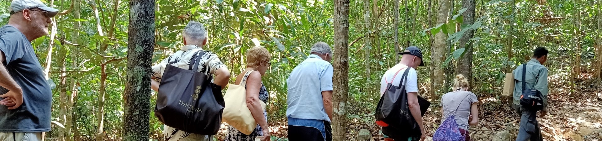 Image of Langkawi Rainforest Trek
