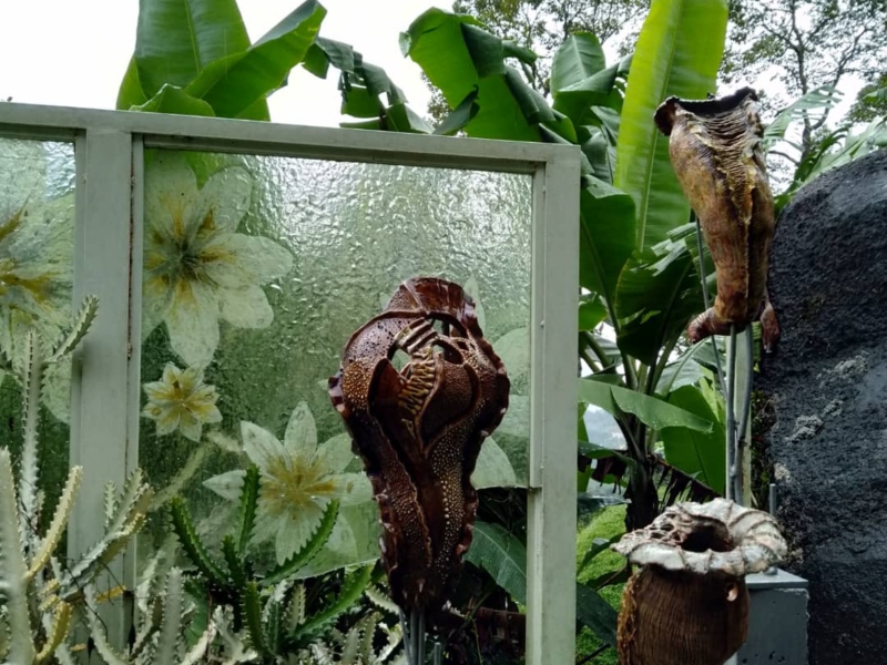 Insider Access: Art and Garden by Fuan Wong