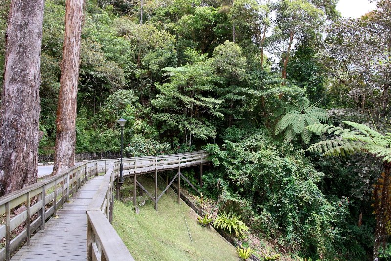 Mt Kinabalu Park, Poring Hot Springs & Sabah Tea