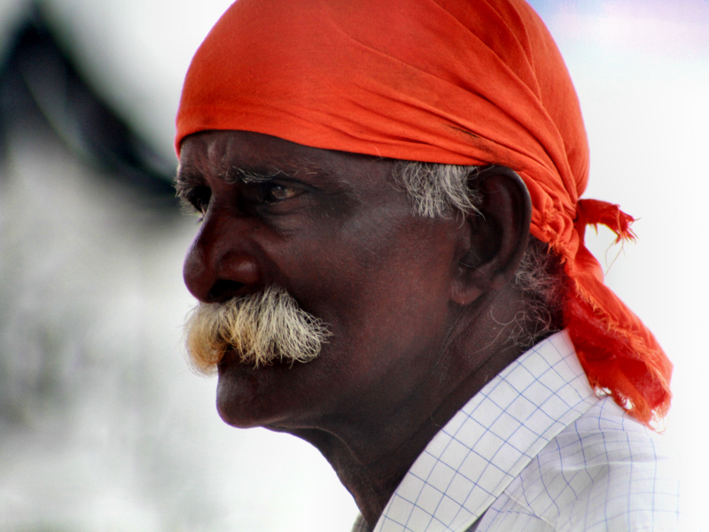 Ornate Temples,Spicy Cuisine & Exquisite Sarees of Penang