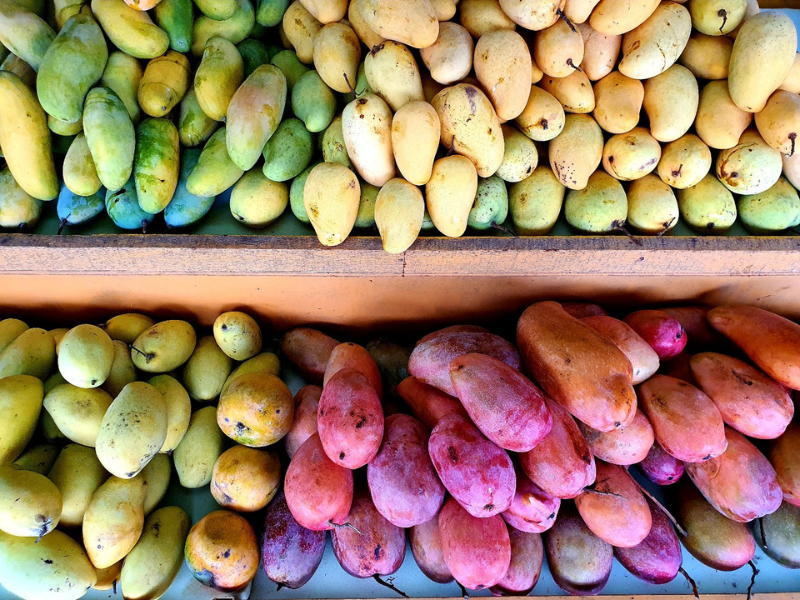 Penang Round Island Food Tour